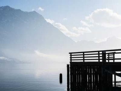 Partner's True Feelings